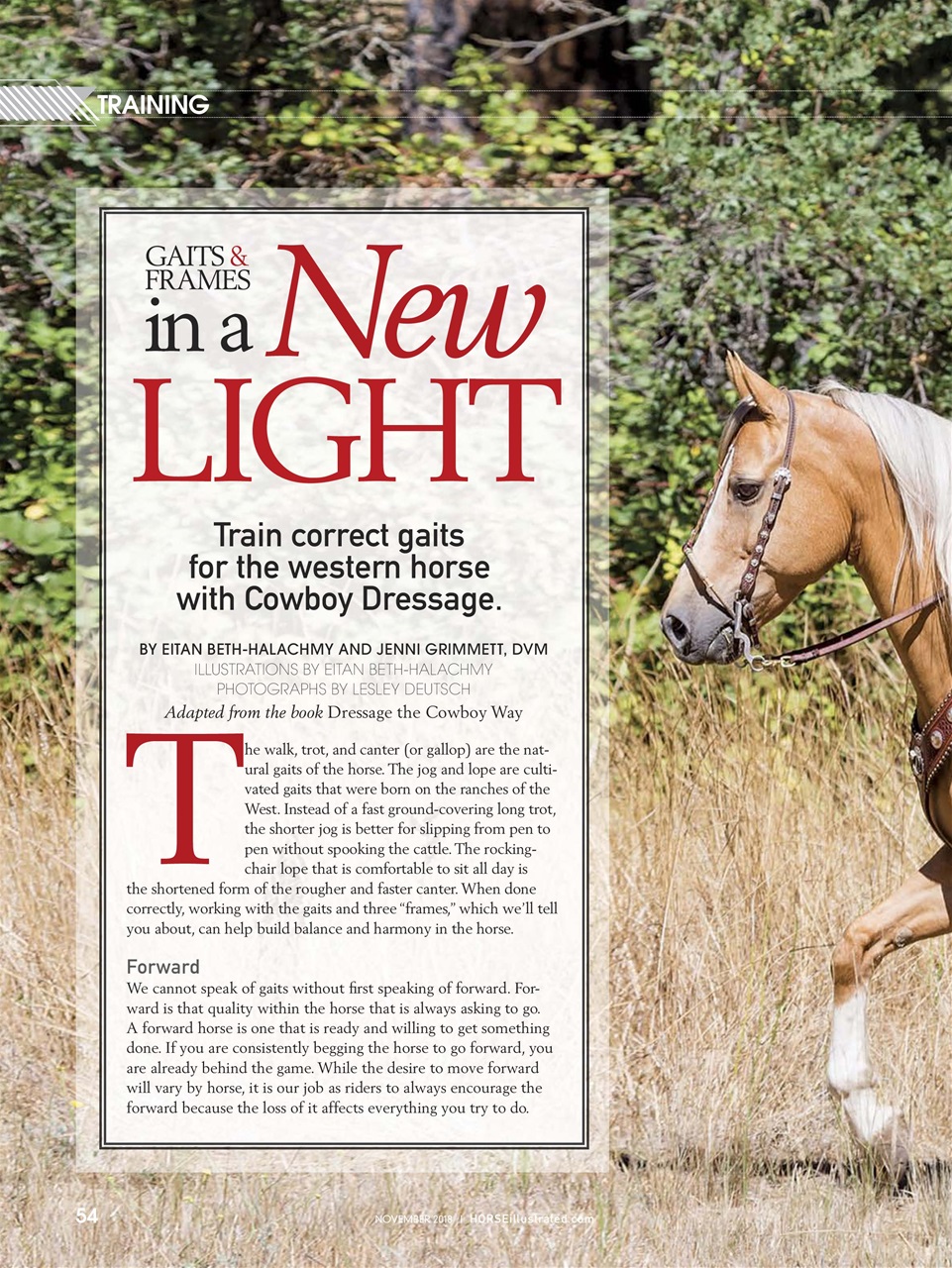Horse Illustrated Magazine Preview Pages