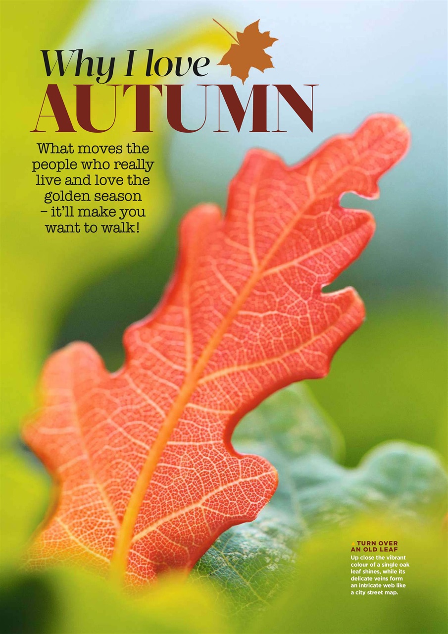 Country Walking Preview Pages