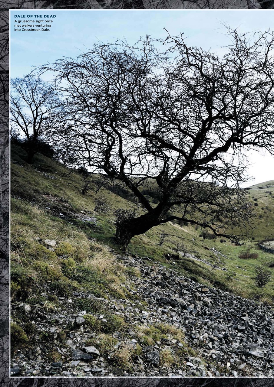 Country Walking Preview Pages