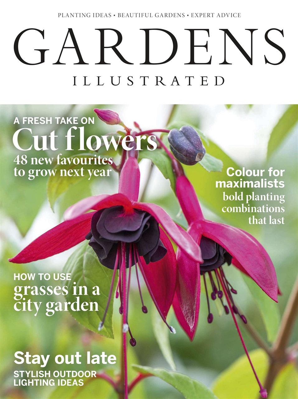 Gardens Illustrated Preview Pages