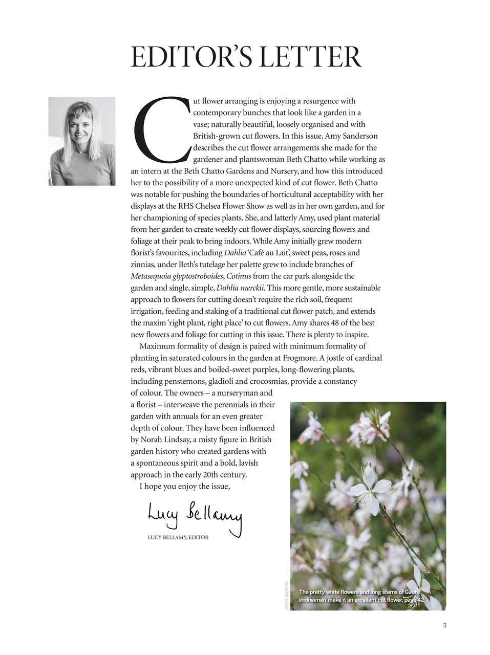 Gardens Illustrated Preview Pages