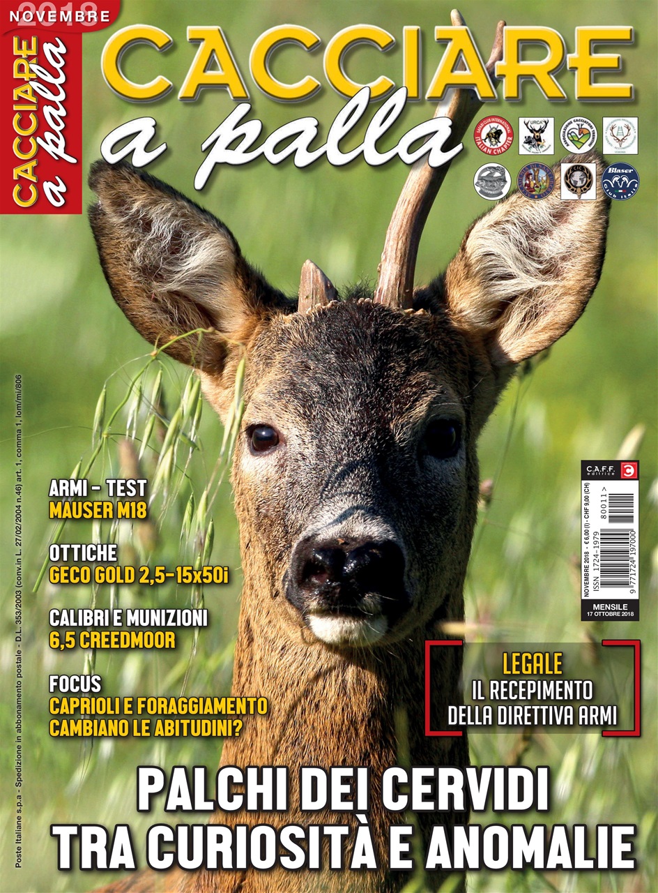 Caccia Magazine Preview Pages