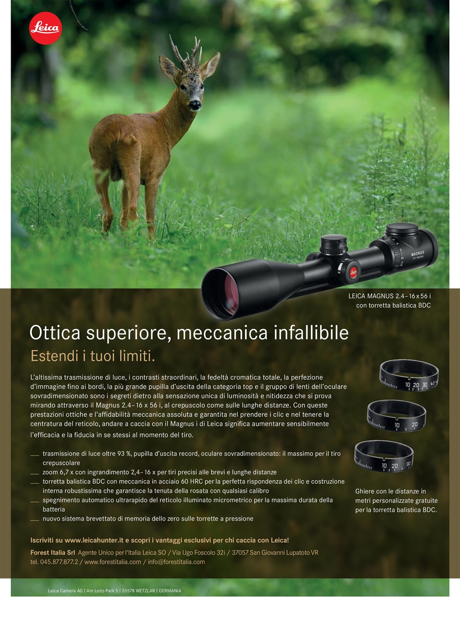 Caccia Magazine Preview Pages