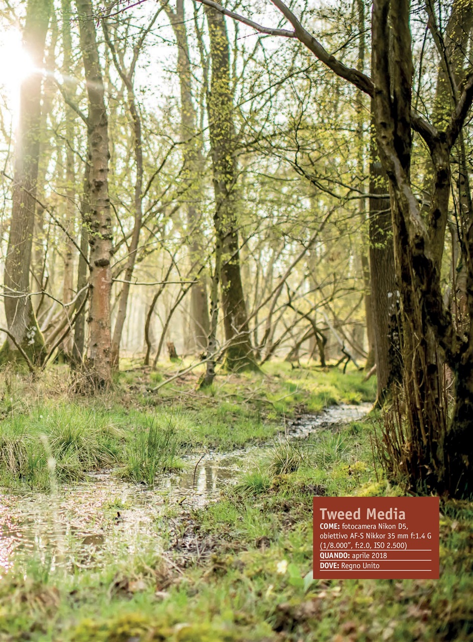 Caccia Magazine Preview Pages