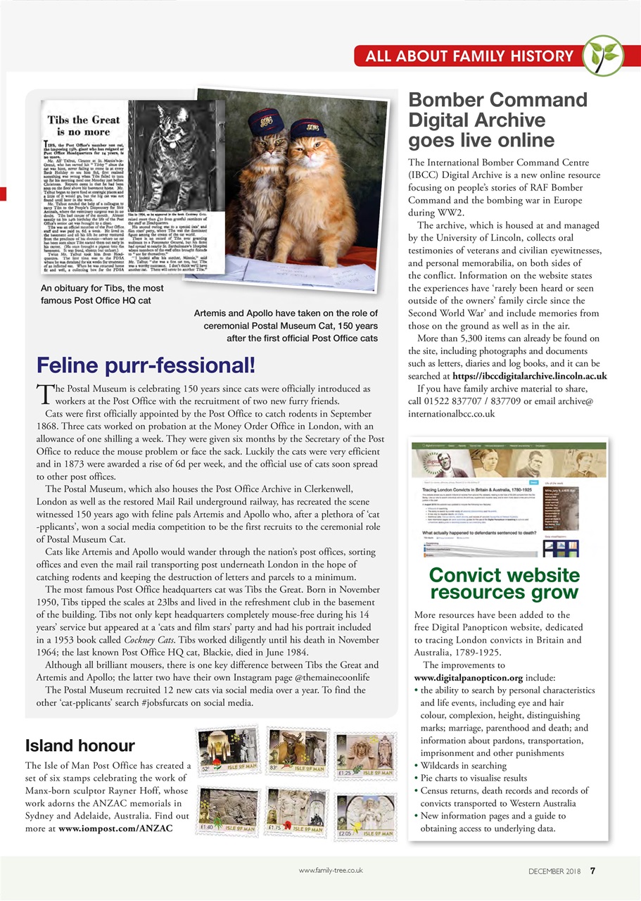 Family Tree Preview Pages