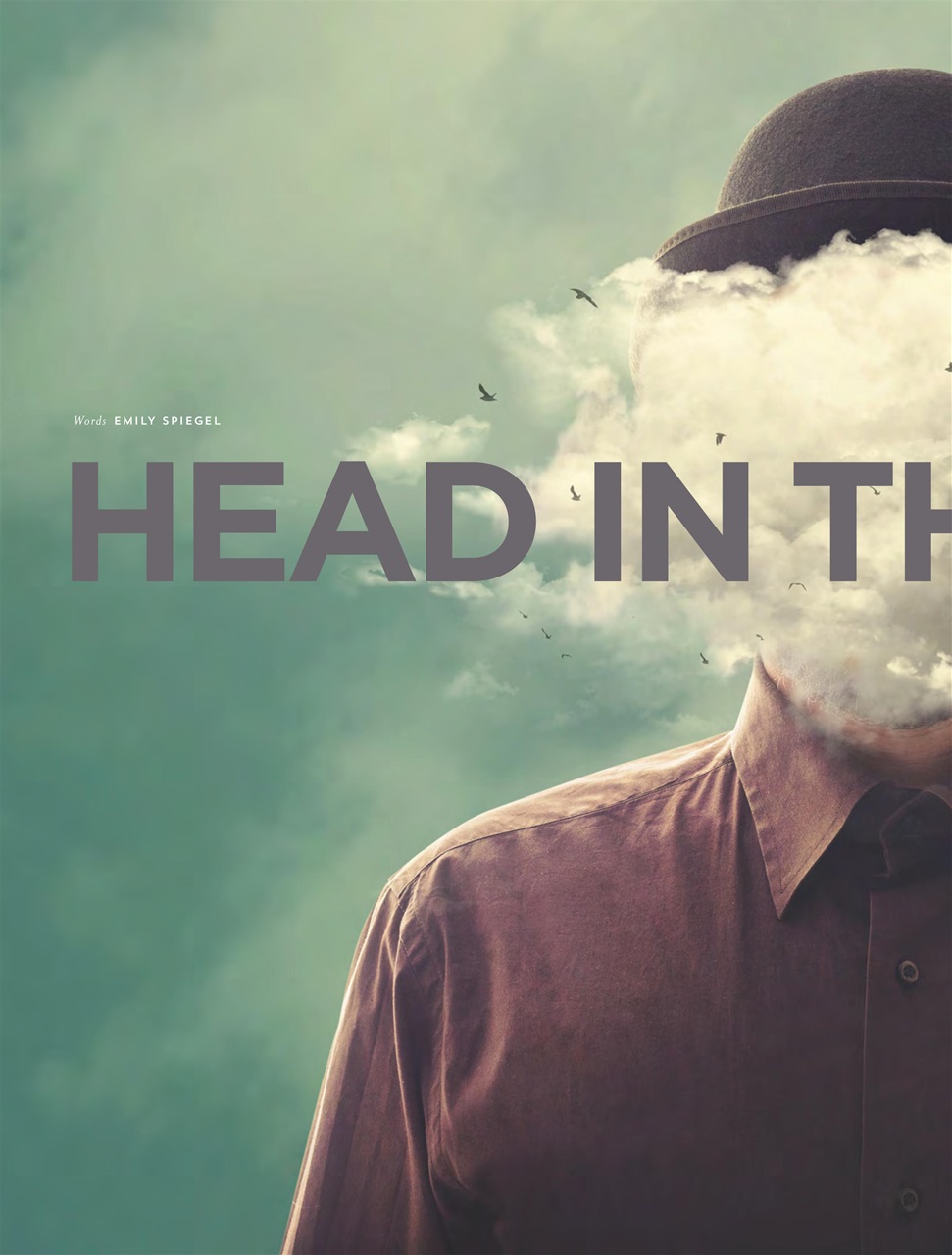 Row360 Preview Pages