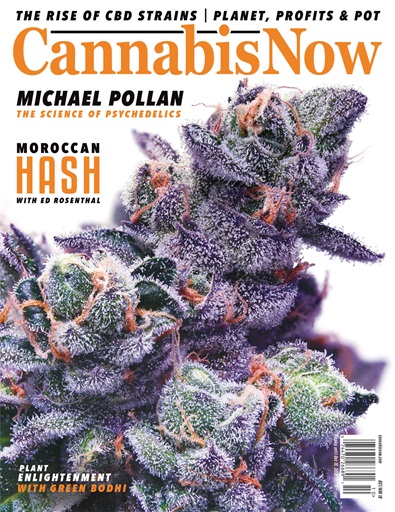 Cannabis Now issue 