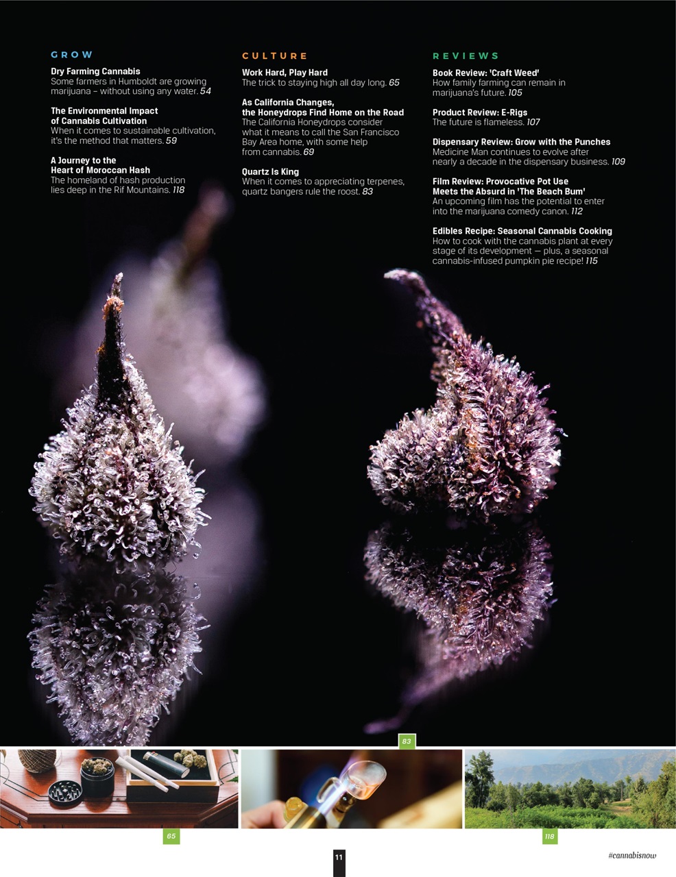 Cannabis Now Preview Pages