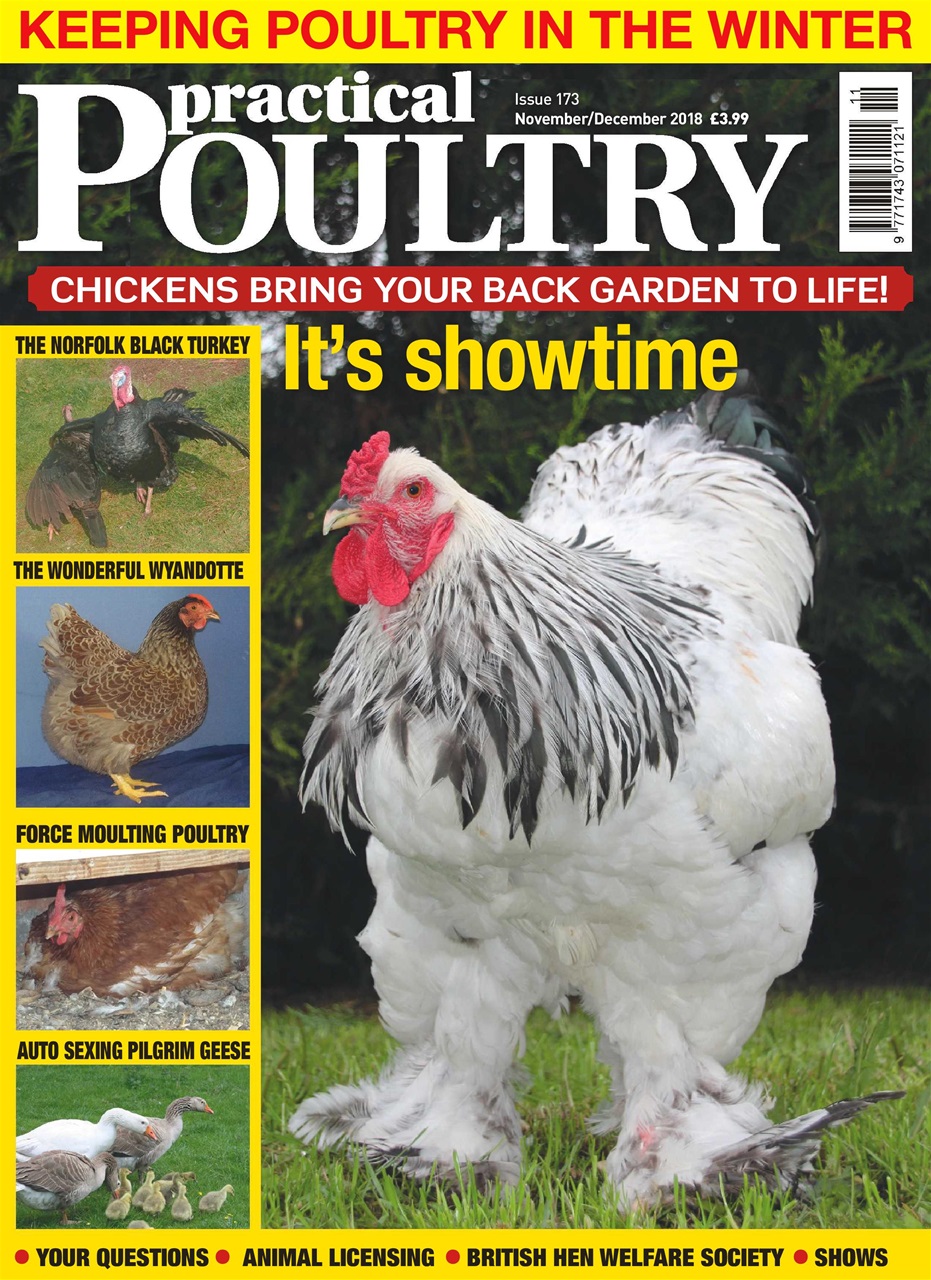 Practical Poultry Preview Pages