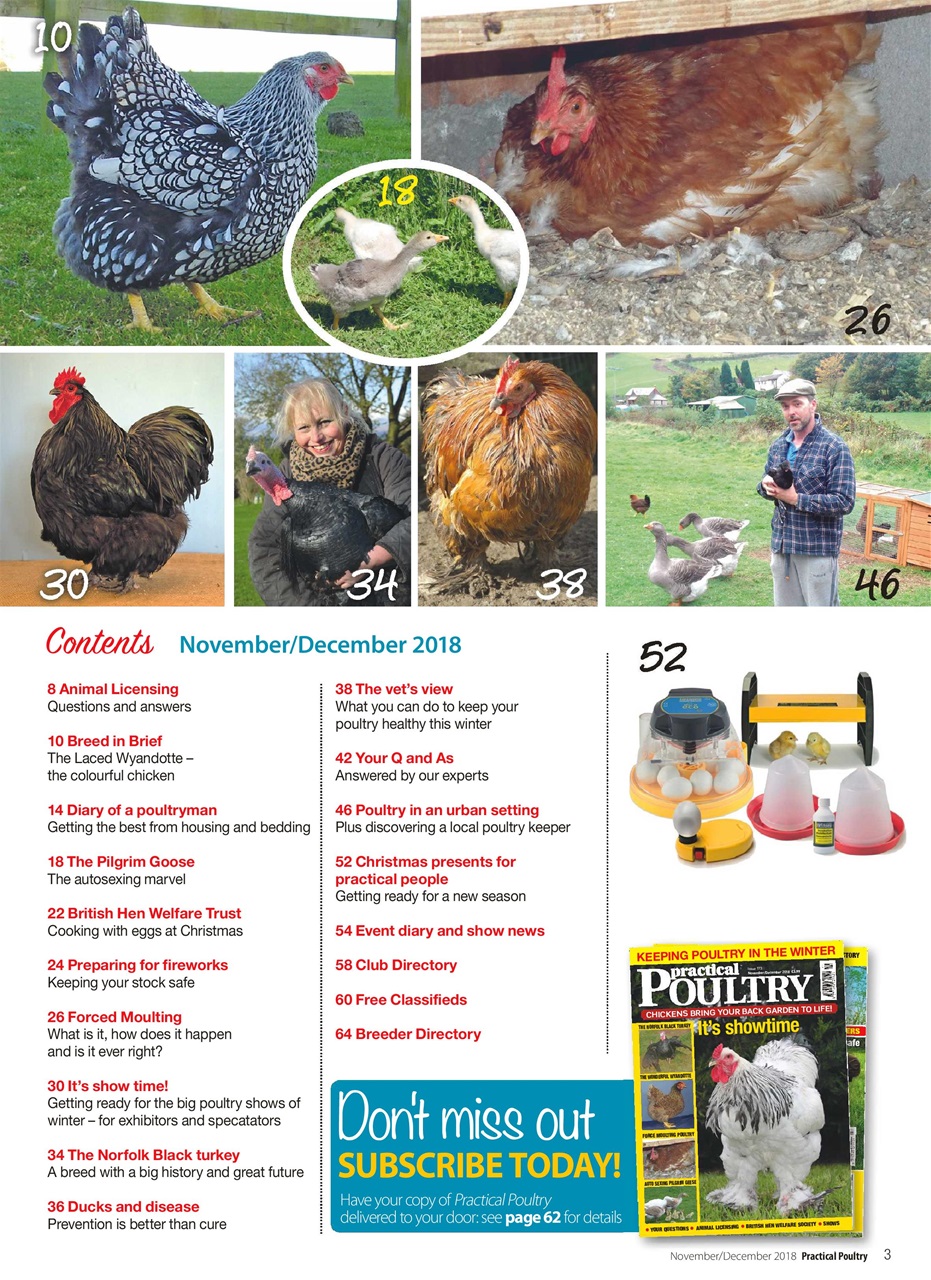 Practical Poultry Preview Pages