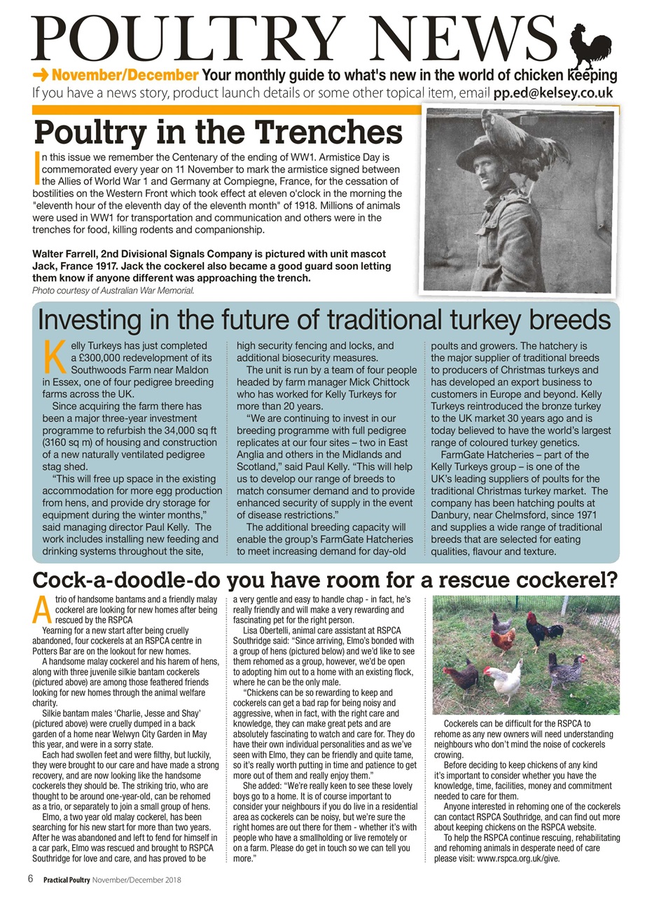 Practical Poultry Preview Pages