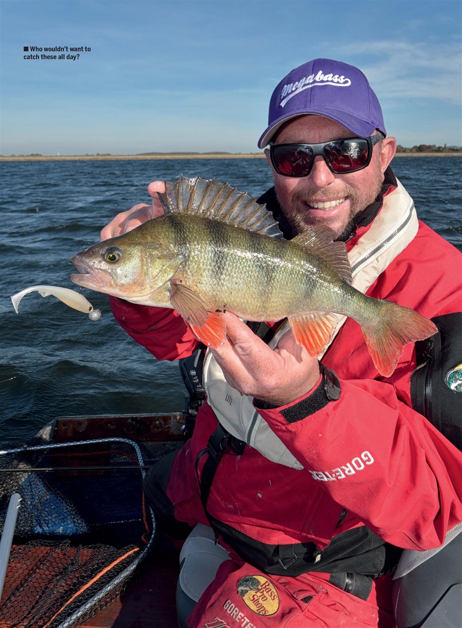 Anglers Mail Preview Pages