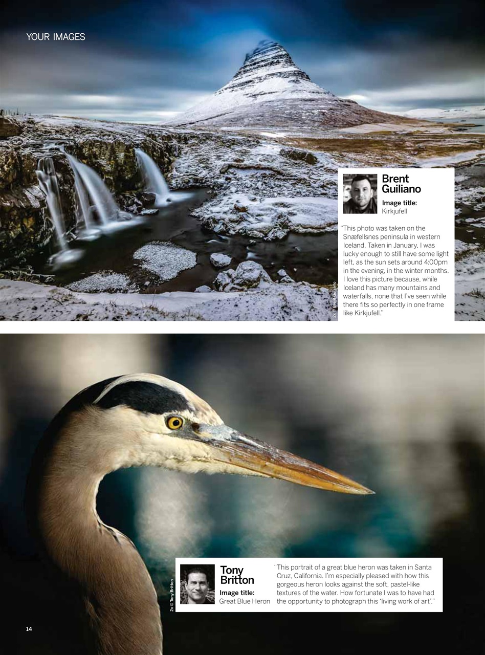 Digital Photographer Preview Pages