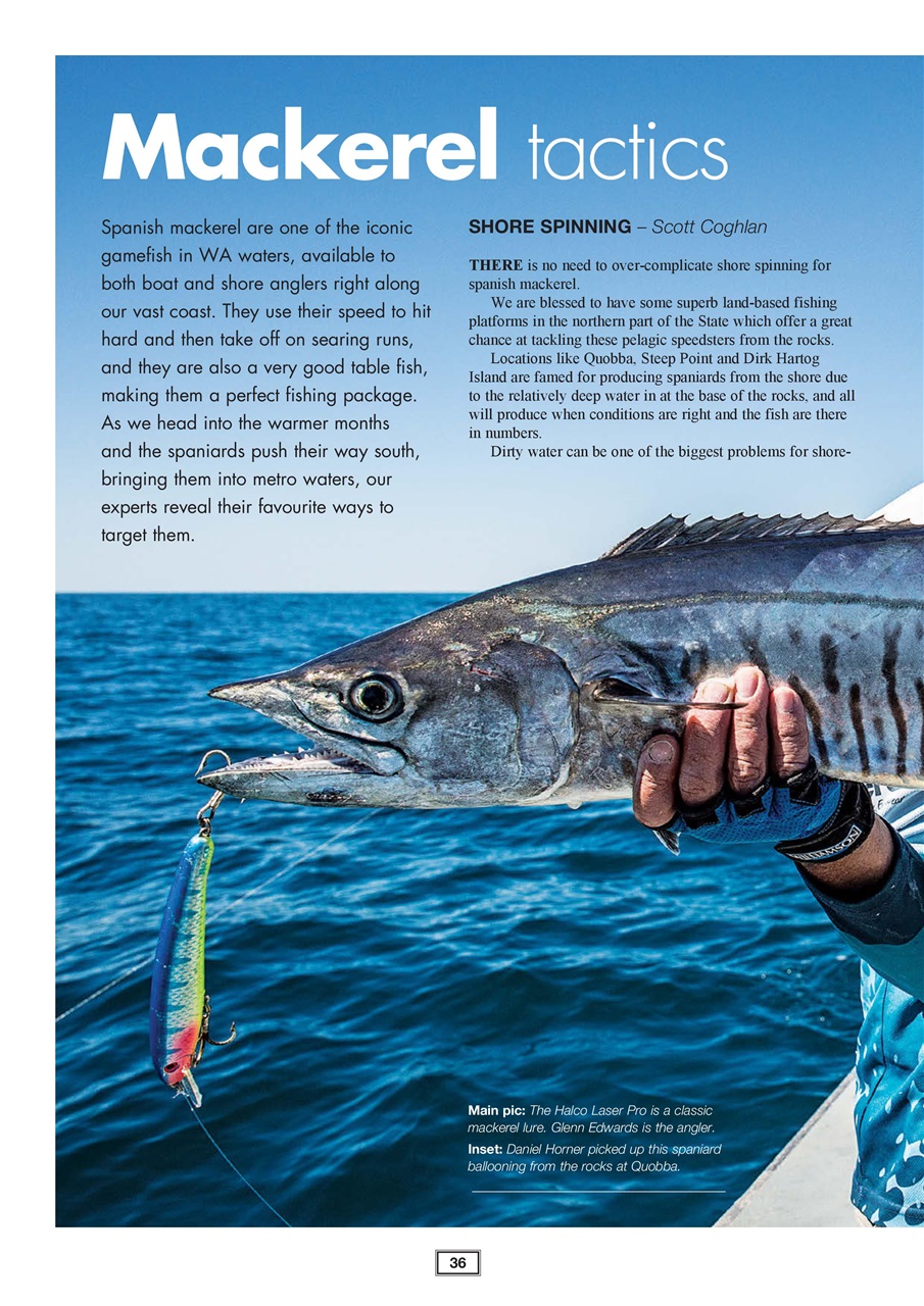 Western Angler Preview Pages
