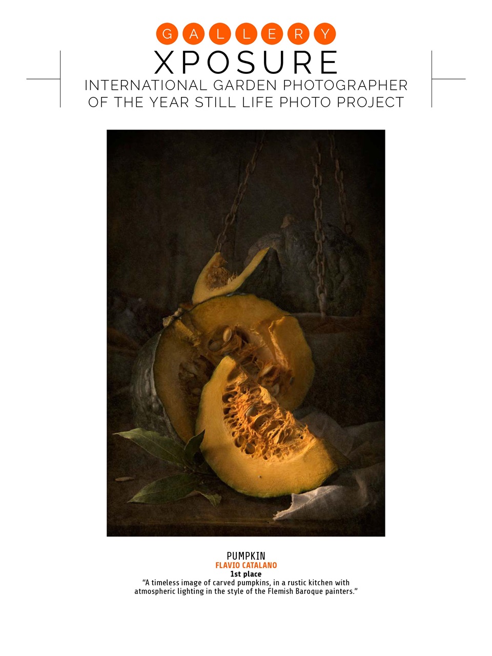 Photography Week Preview Pages