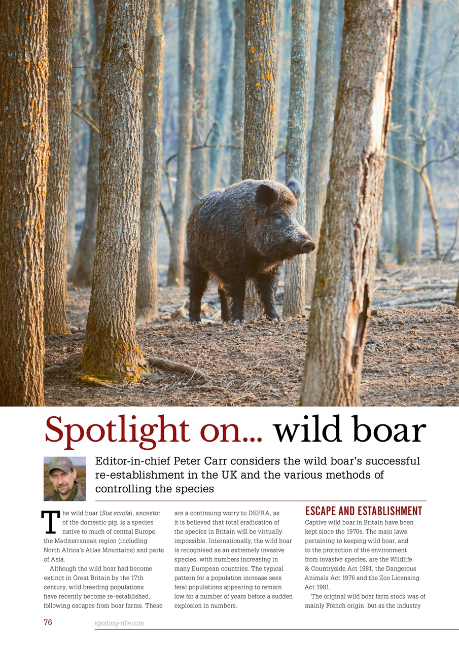 Sporting Rifle Preview Pages