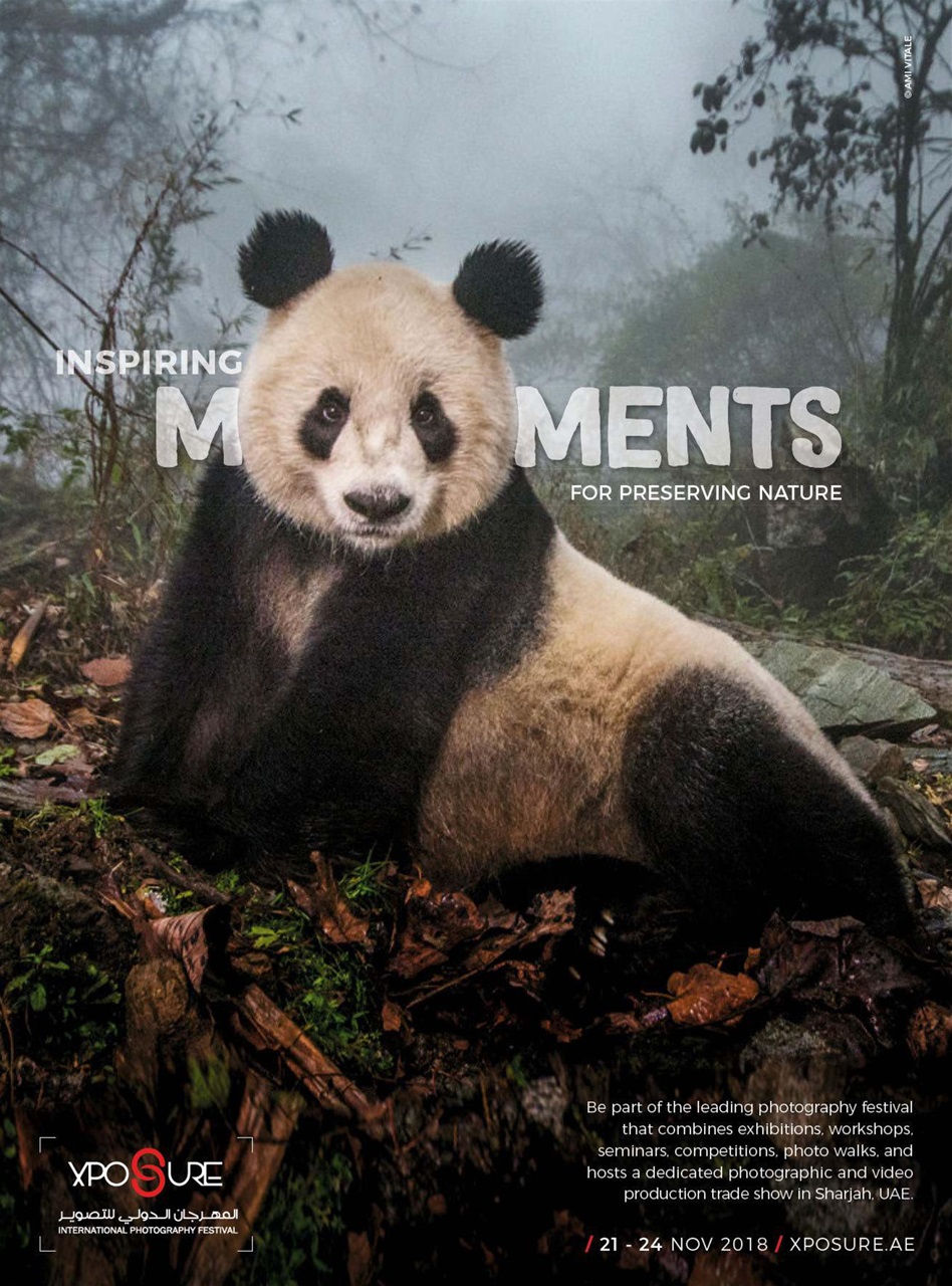 Digital Camera Magazine Preview Pages