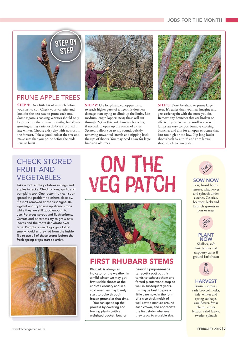Kitchen Garden Magazine Preview Pages
