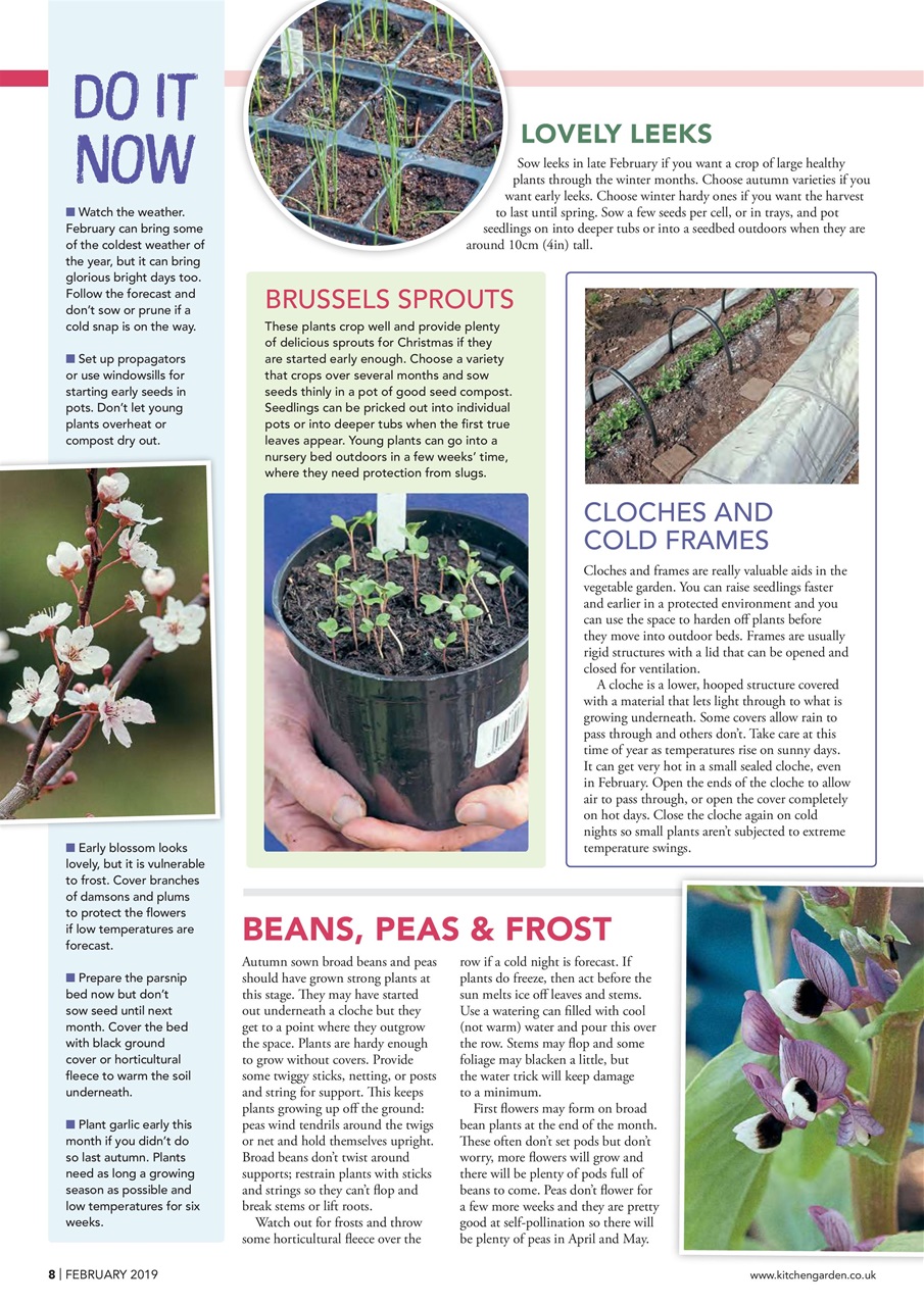 Kitchen Garden Magazine Preview Pages