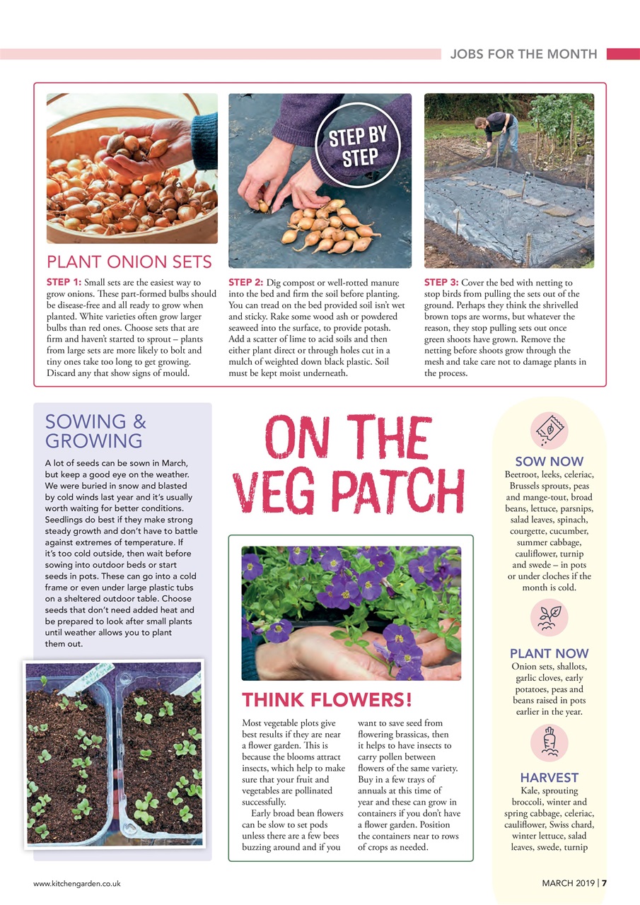 Kitchen Garden Magazine Preview Pages