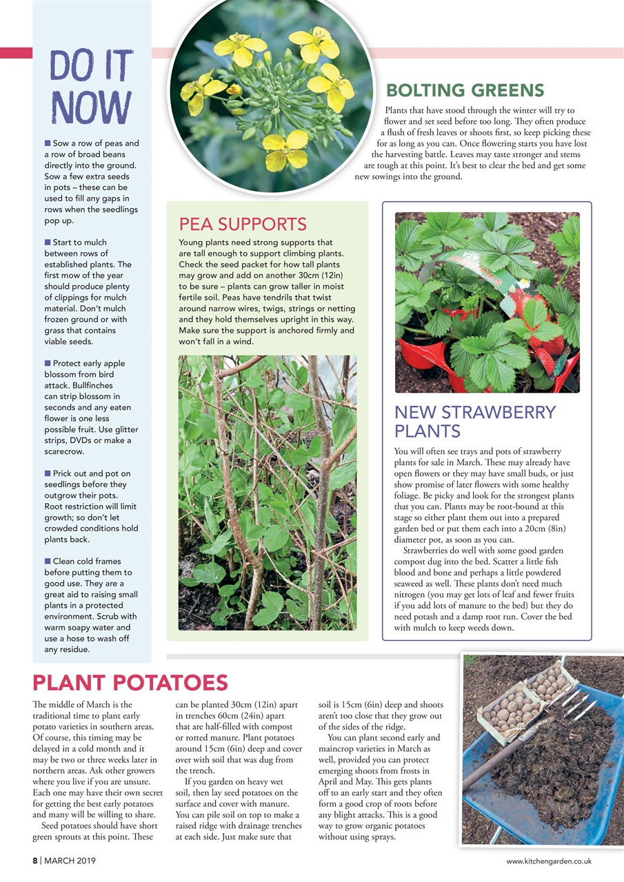 Kitchen Garden Magazine Preview Pages
