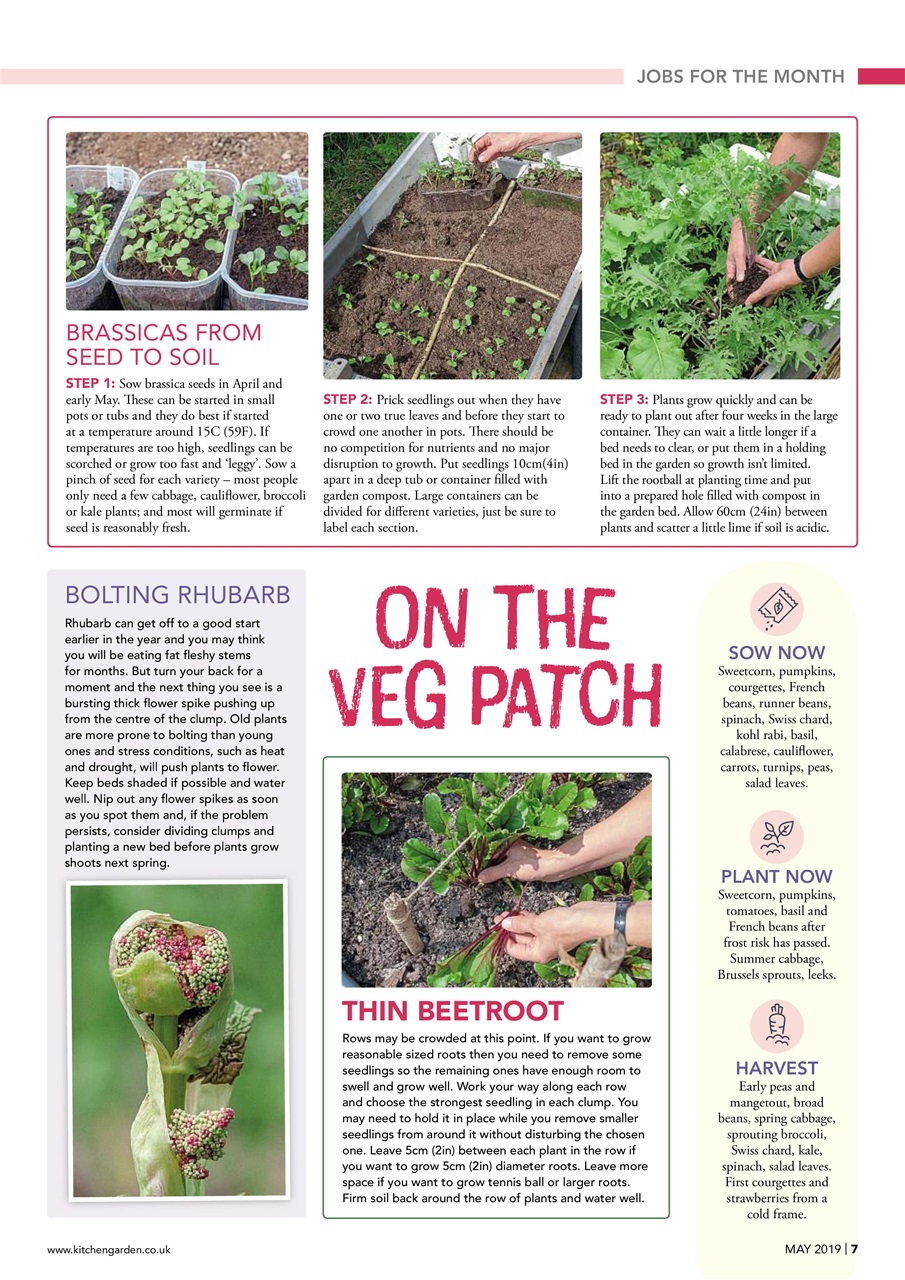 Kitchen Garden Magazine Preview Pages