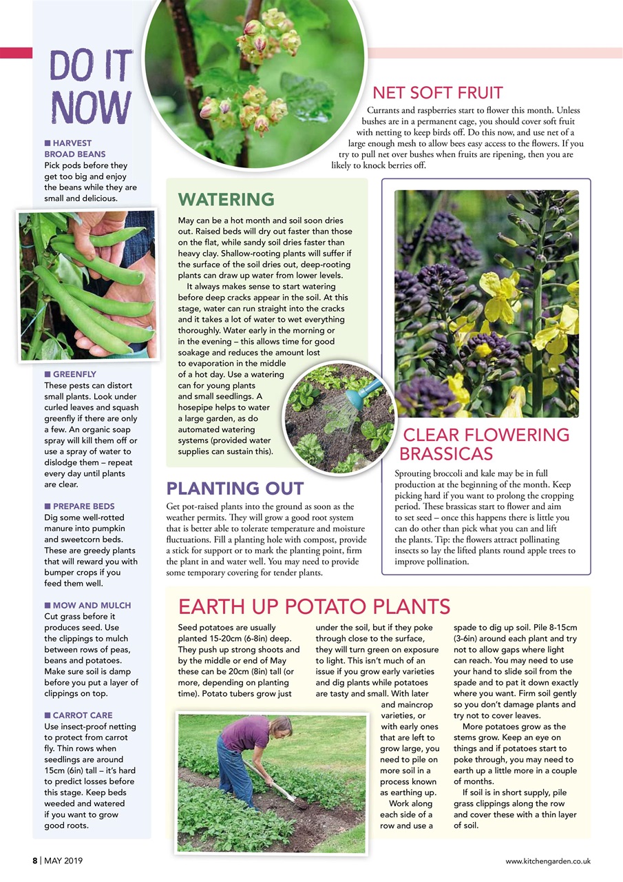 Kitchen Garden Magazine Preview Pages