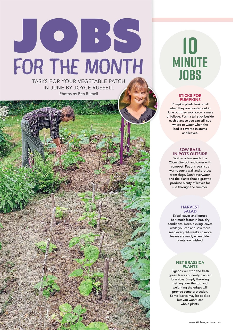 Kitchen Garden Magazine Preview Pages