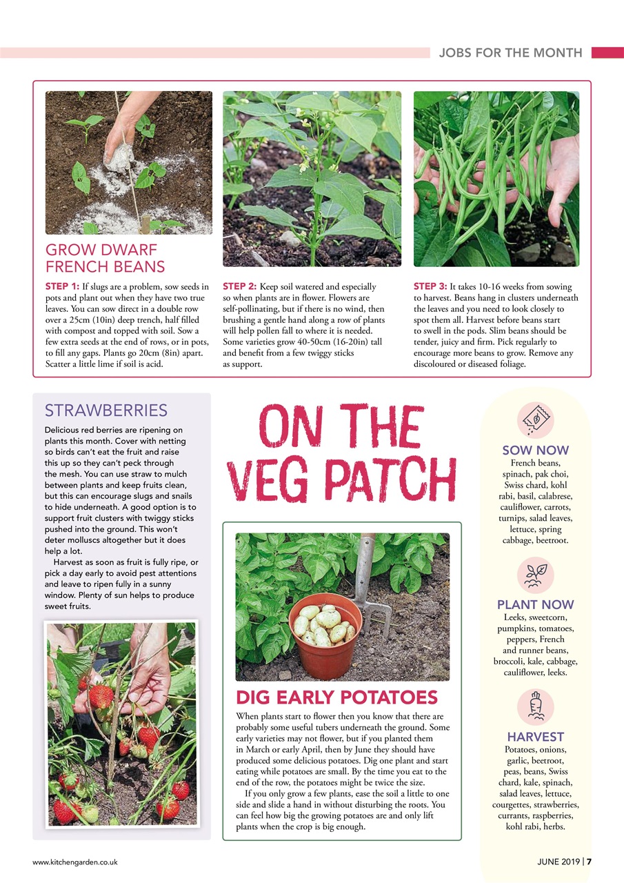 Kitchen Garden Magazine Preview Pages