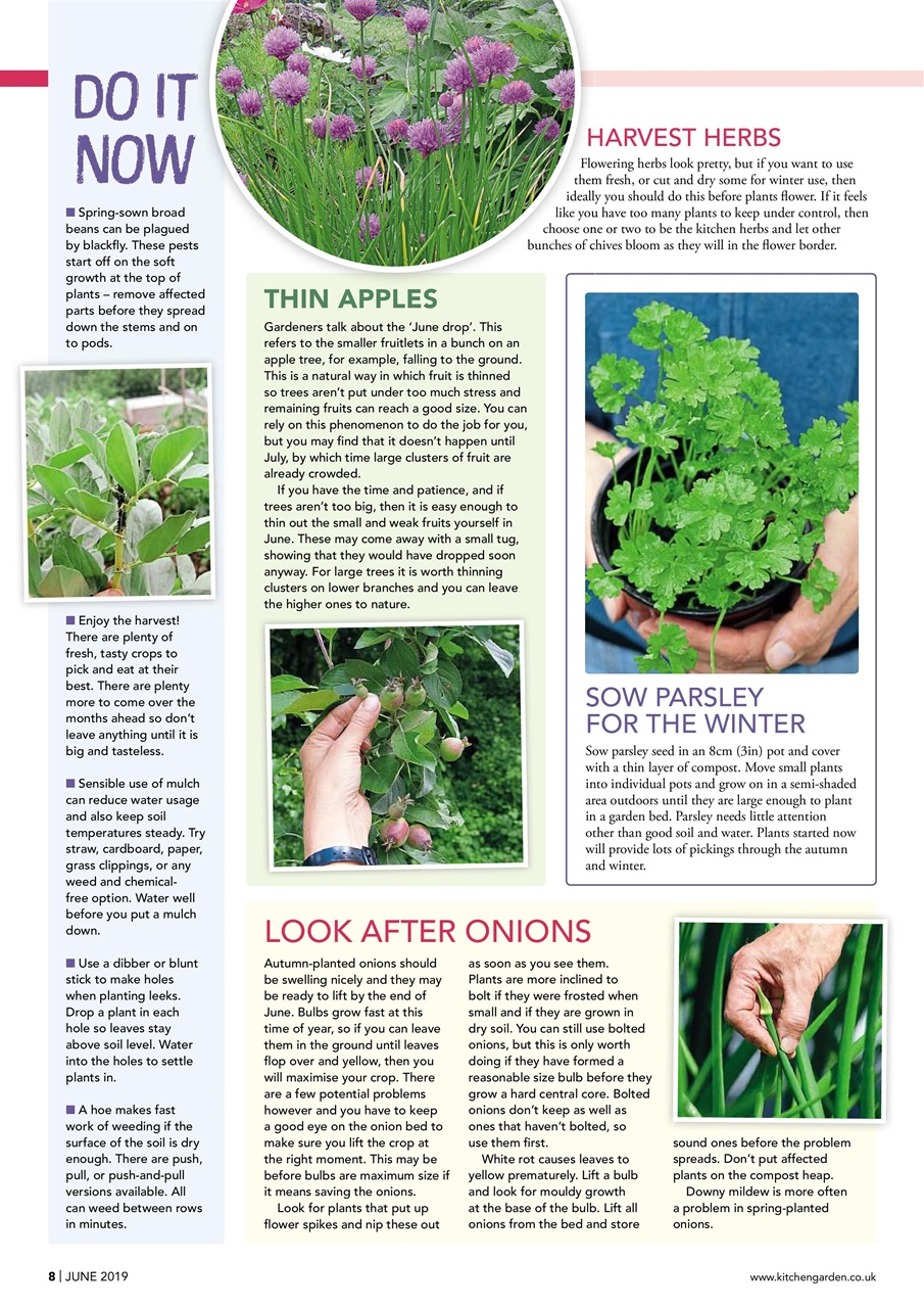 Kitchen Garden Magazine Preview Pages