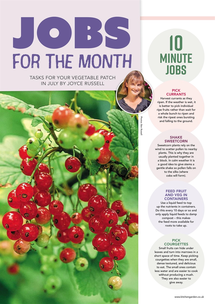 Kitchen Garden Magazine Preview Pages