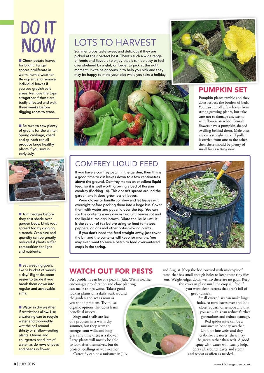 Kitchen Garden Magazine Preview Pages