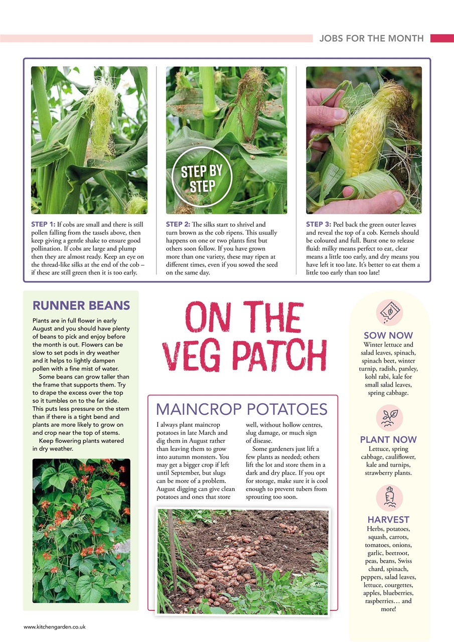 Kitchen Garden Magazine Preview Pages