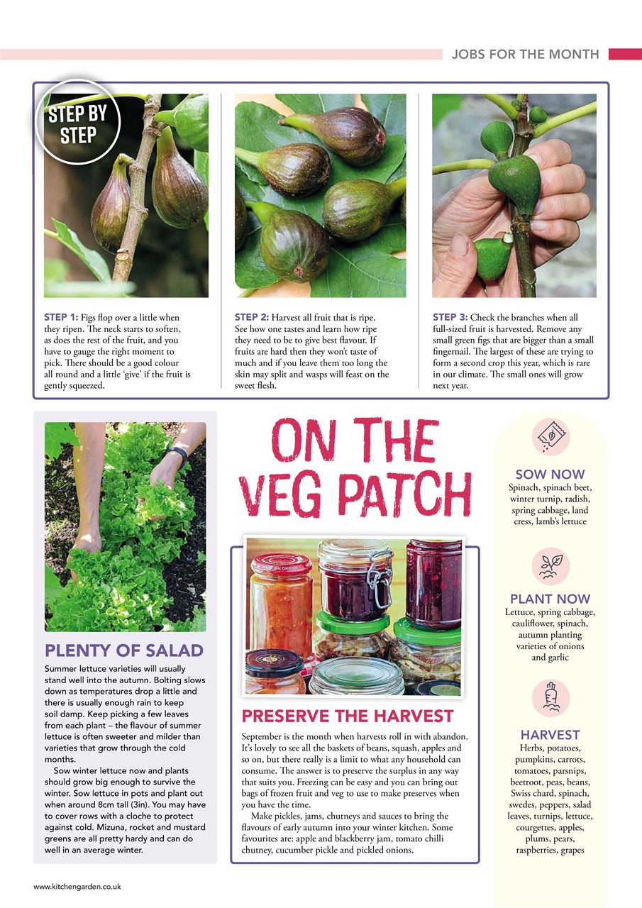 Kitchen Garden Magazine Preview Pages