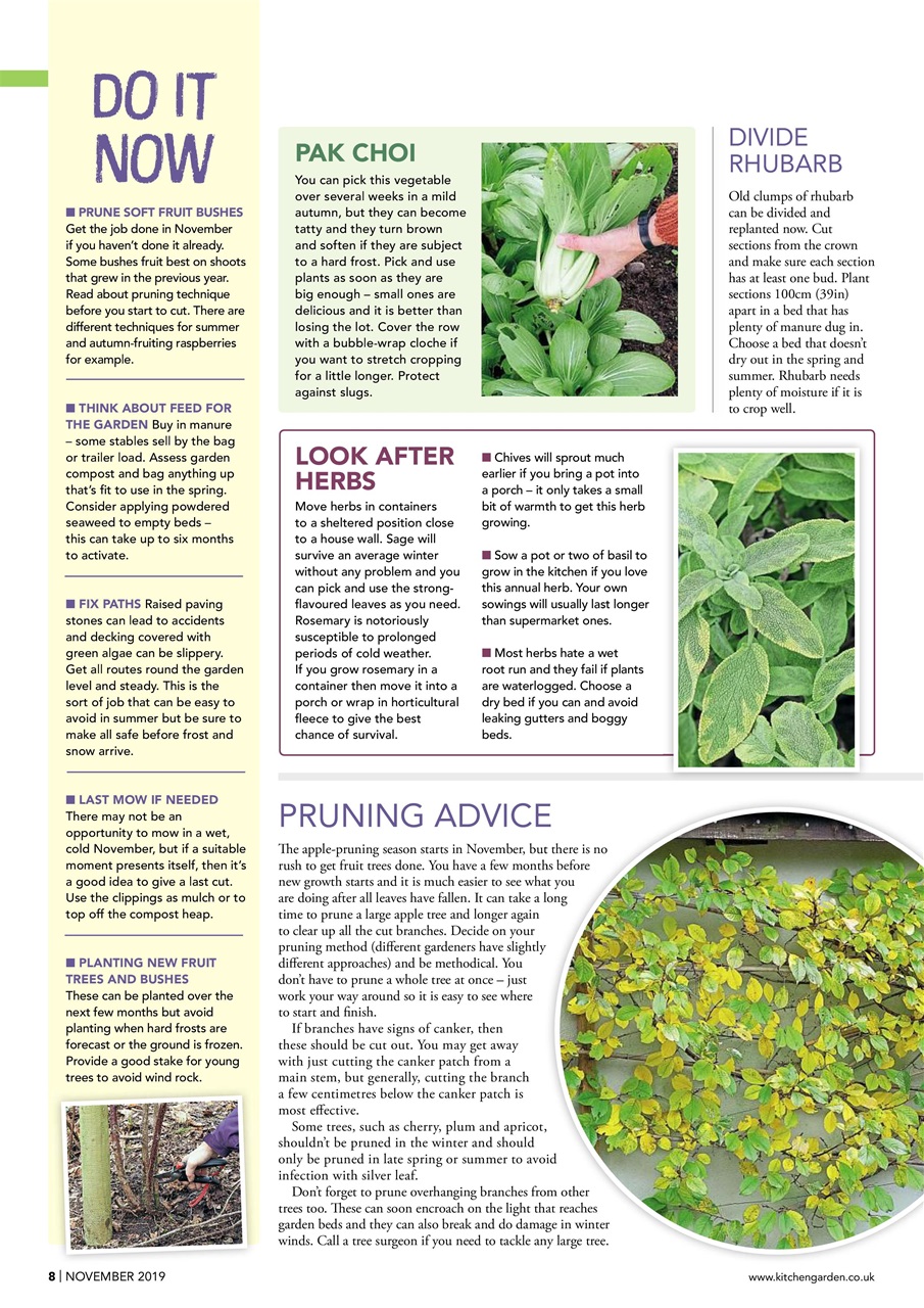Kitchen Garden Magazine Preview Pages