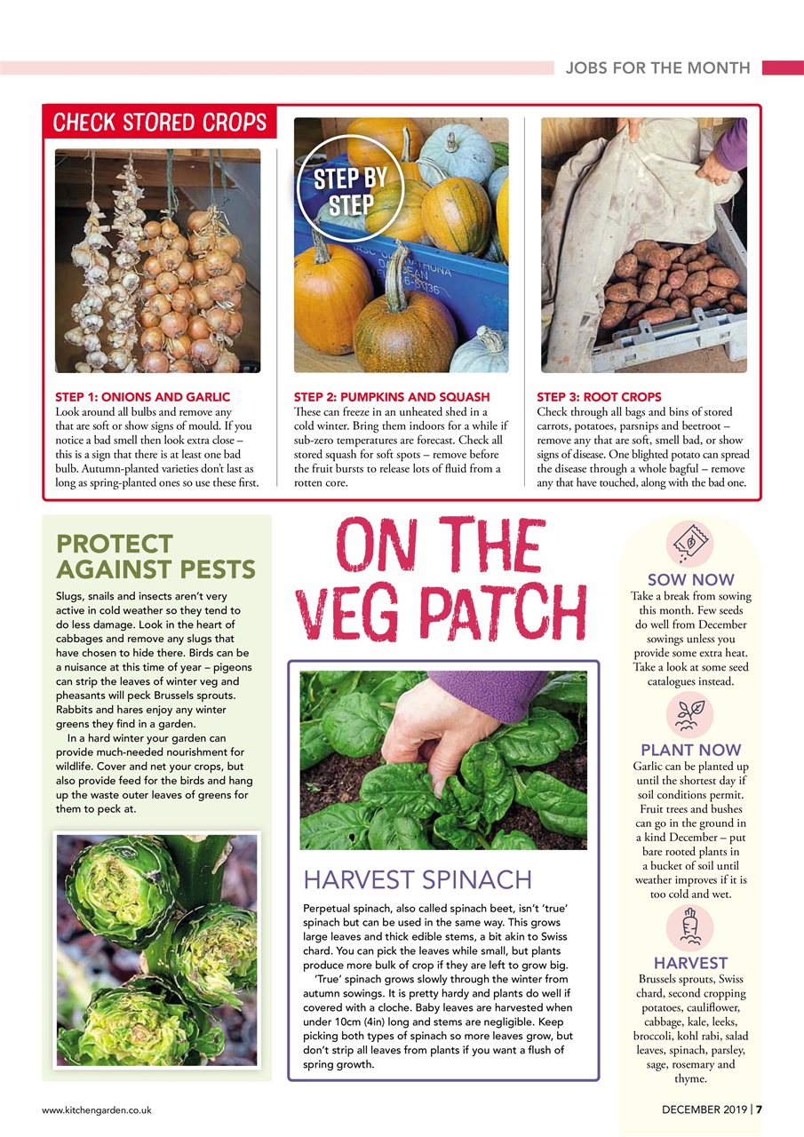 Kitchen Garden Magazine Preview Pages
