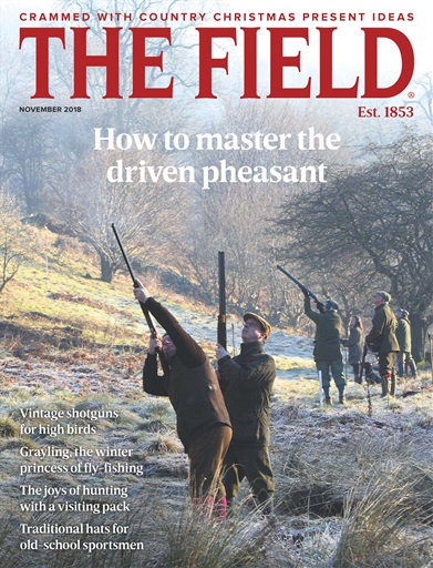 The Field issue 
