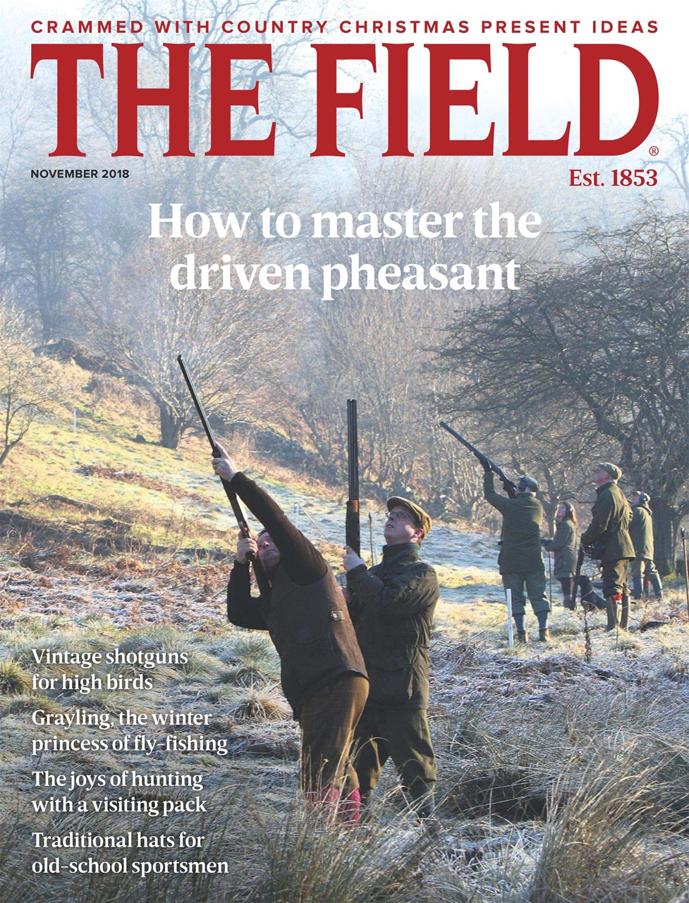 The Field Preview Pages