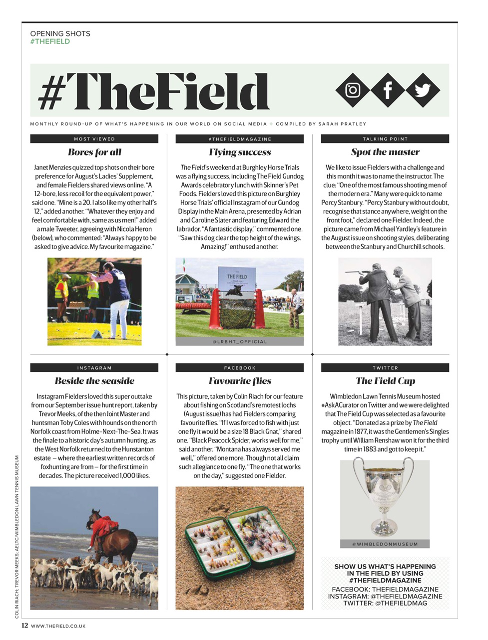The Field Preview Pages