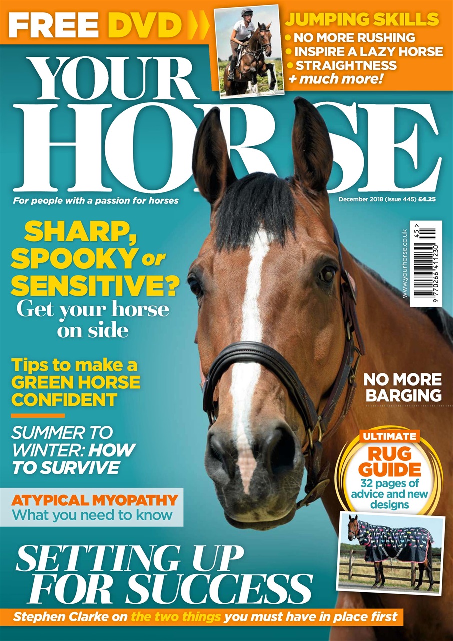 Your Horse Preview Pages