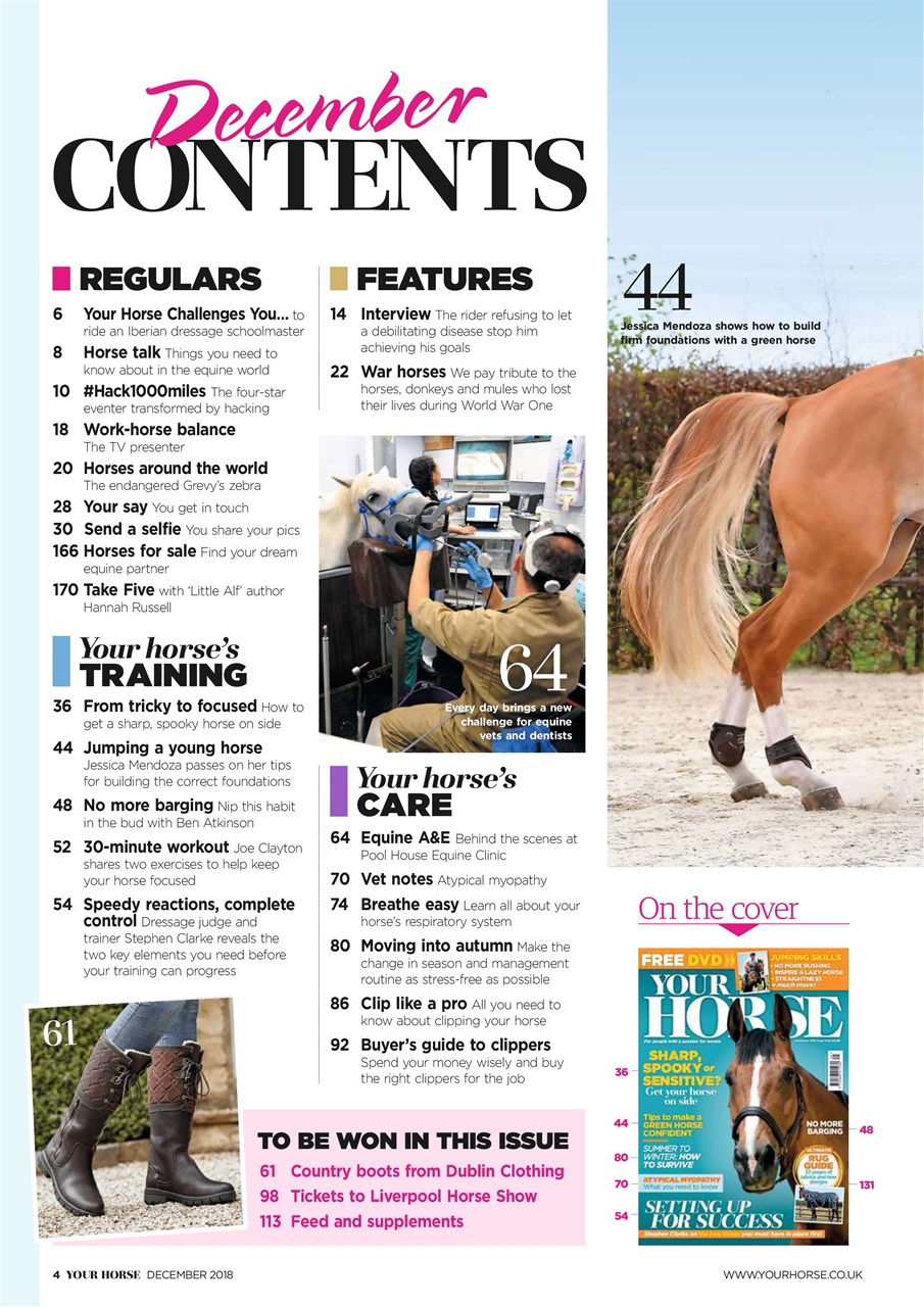 Your Horse Preview Pages