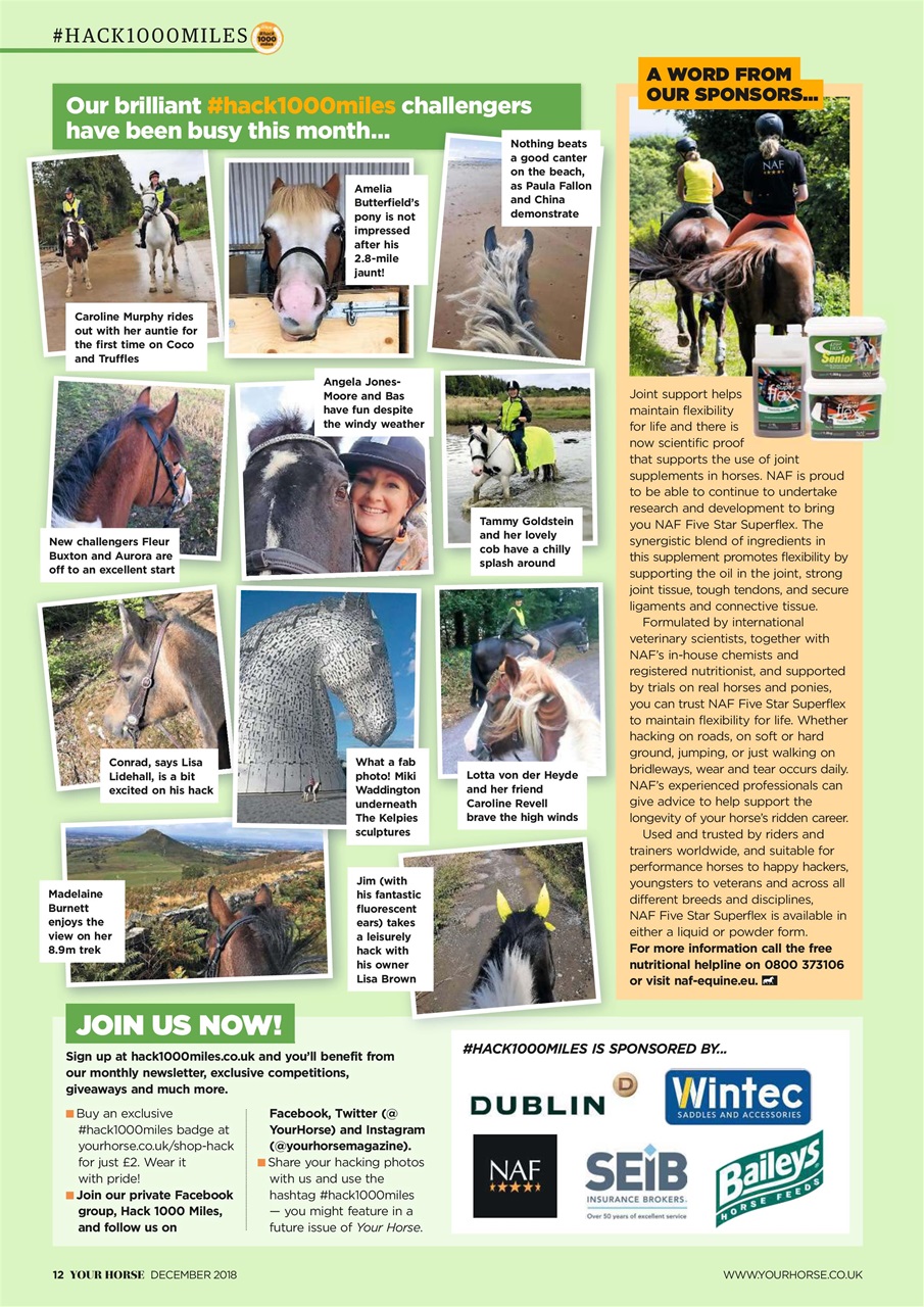 Your Horse Preview Pages