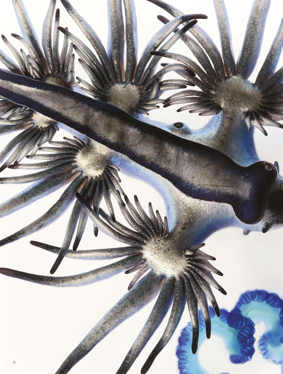 BBC Science Focus Magazine Preview Pages