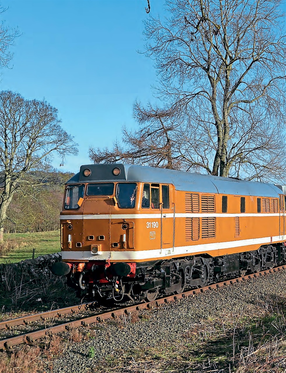 Rail Express Preview Pages