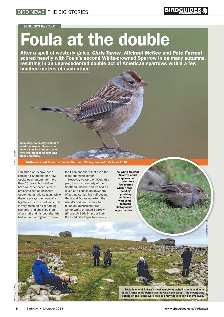 Birdwatch Magazine Preview Pages
