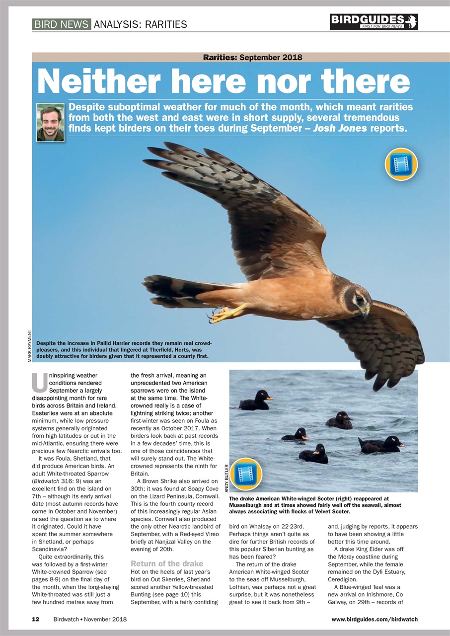 Birdwatch Magazine Preview Pages