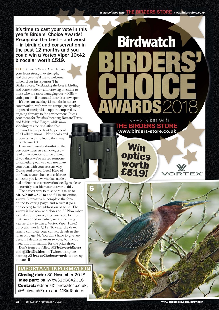 Birdwatch Magazine Preview Pages