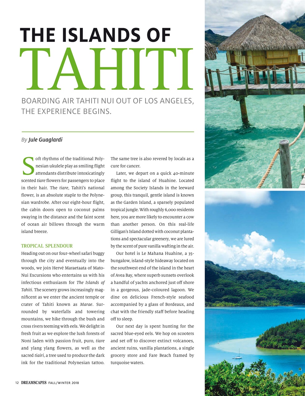 Dreamscapes Preview Pages