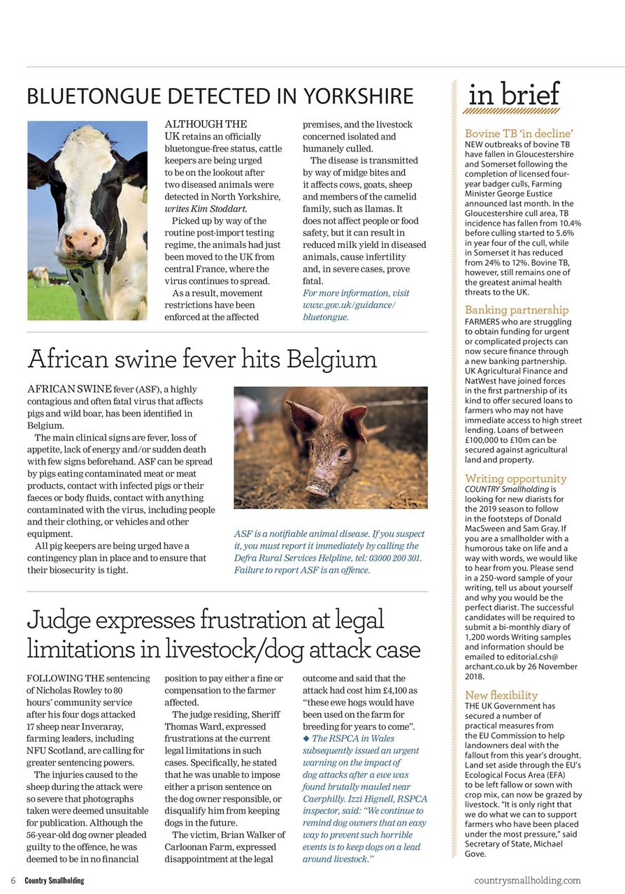 The Country Smallholder Preview Pages