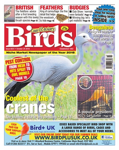 Cage & Aviary Birds issue 24th October 2018